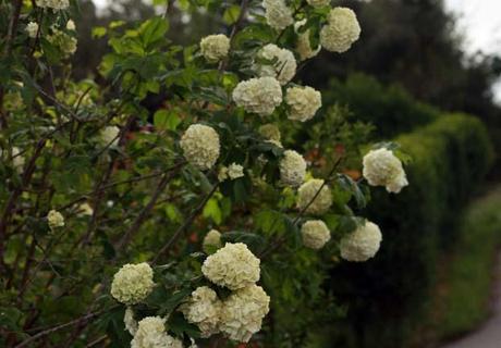 Un rincón inspirado en lo que veo todos los días