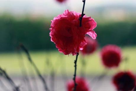 Un rincón inspirado en lo que veo todos los días