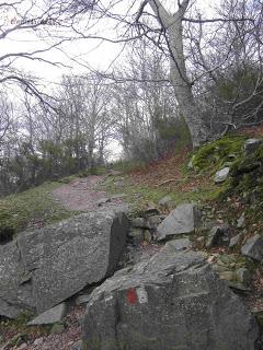 Final del sendero de Peña Roya, El Moncayo