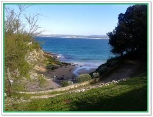 Molinucos Parque de Mataleñas.