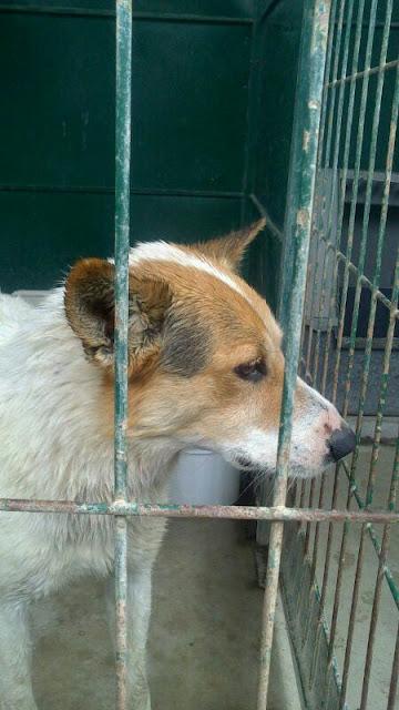 CRUCE DE BODEGUERO, te miro y me entristezco....