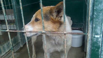 CRUCE DE BODEGUERO, te miro y me entristezco....