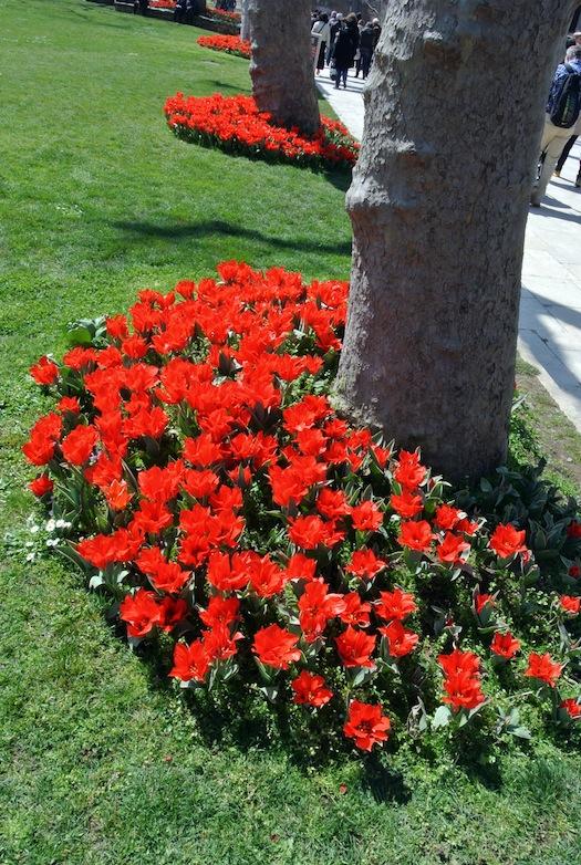 Inspiración: Primavera en Estambul