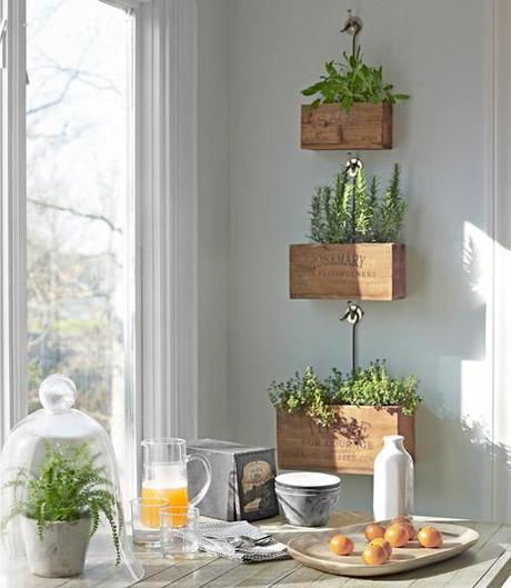 La huerta en casa La huerta en casa