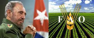 FAO felicita a Fidel Castro y a Cuba por reducir desnutrición en Cuba antes de 2015