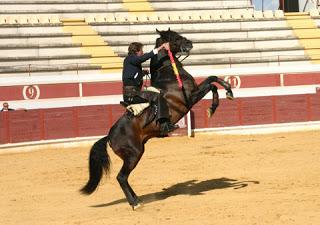 TRIPLE SALIDA A HOMBROS EN EL FESTEJO DE REJONES DE LUCENA