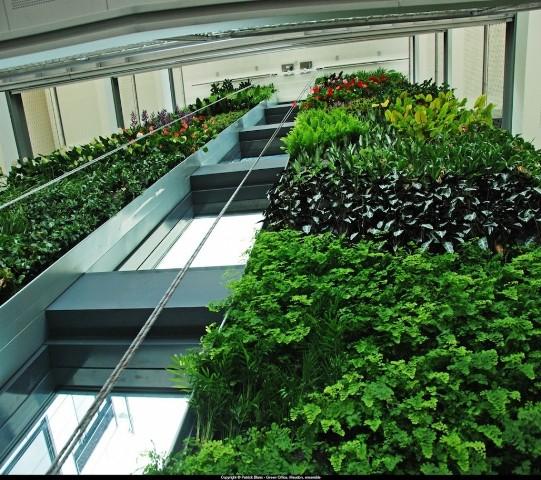 Jardines verticales en el Green Office de Meudon (Francia)