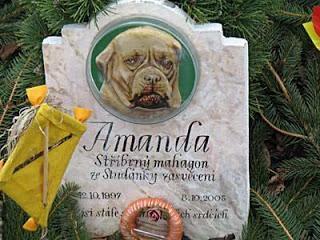 Cementerio de Mascotas