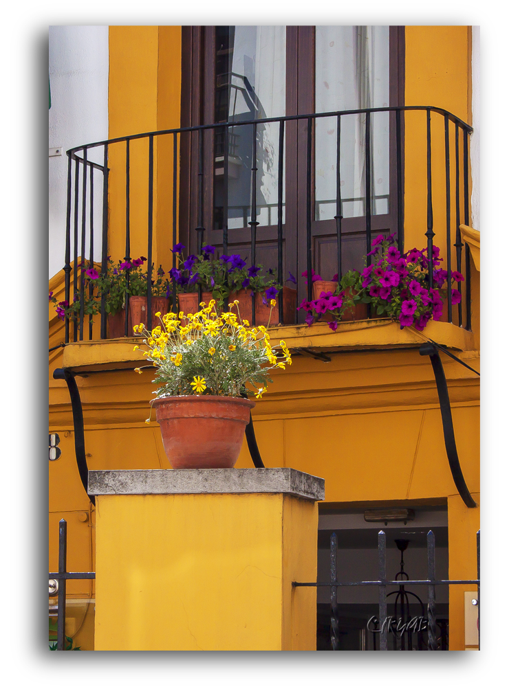 Córdoba en Mayo