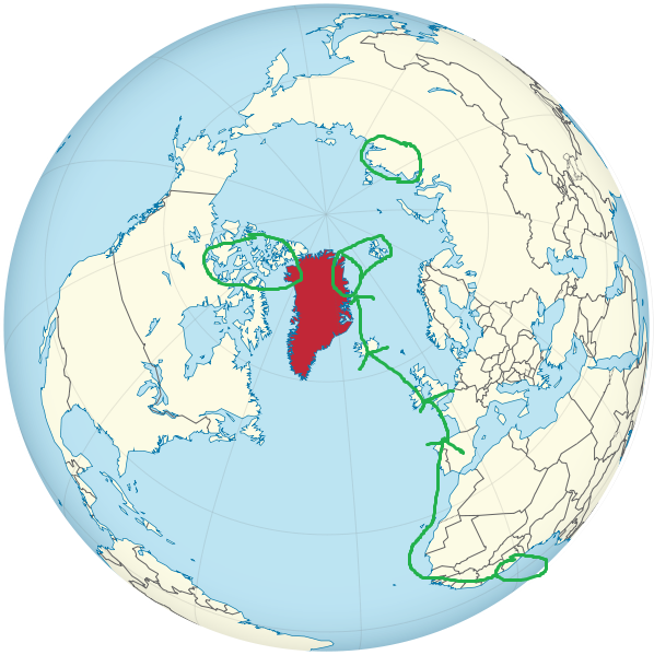 Correlimos tridáctilo anillado