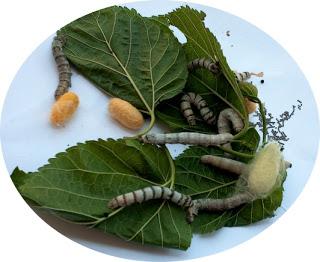 10 actividades familiares para la primavera