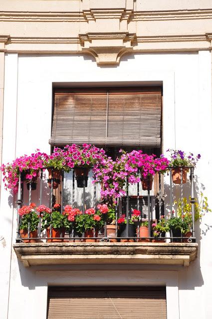 10 actividades familiares para la primavera