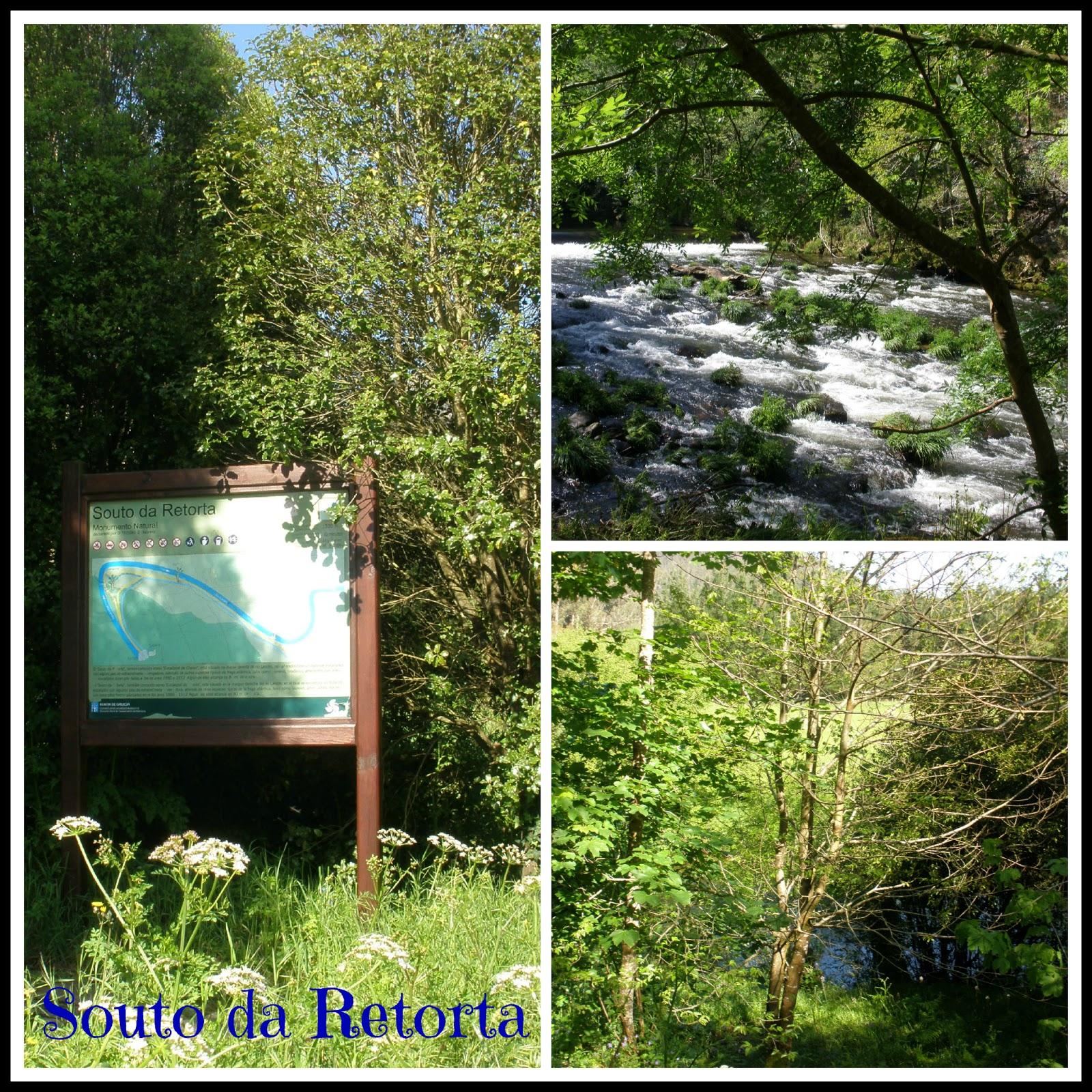 Excursión a Lugo