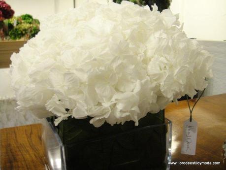 Need Summer: La nueva colección de Argot y Margot