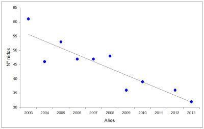 Los cormoranes que no verá mi hijo