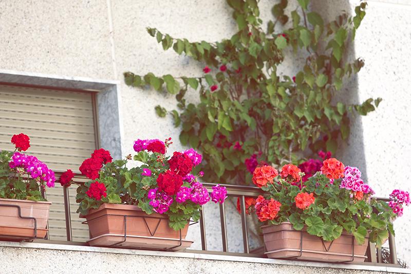 Looks of the day 36: Welcome Spring