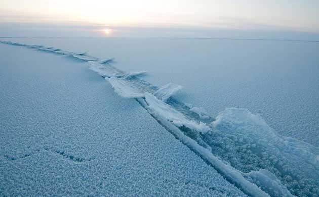 capa de hielo marino en el Ártico