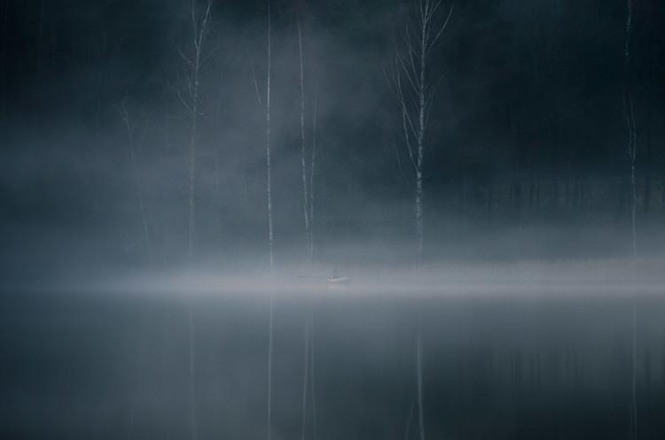 Mikko Lagerstedt
