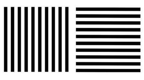 El efecto visual de las rayas El efecto visual de las rayas