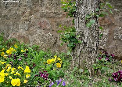 El cuidado de los pensamientos