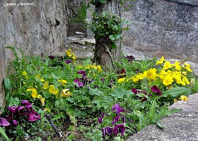 El cuidado de los pensamientos