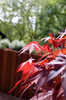 Jardín en ático integrado en el bosque