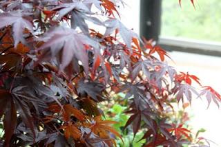 Jardín en ático integrado en el bosque