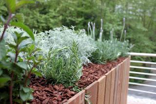 Jardín en ático integrado en el bosque