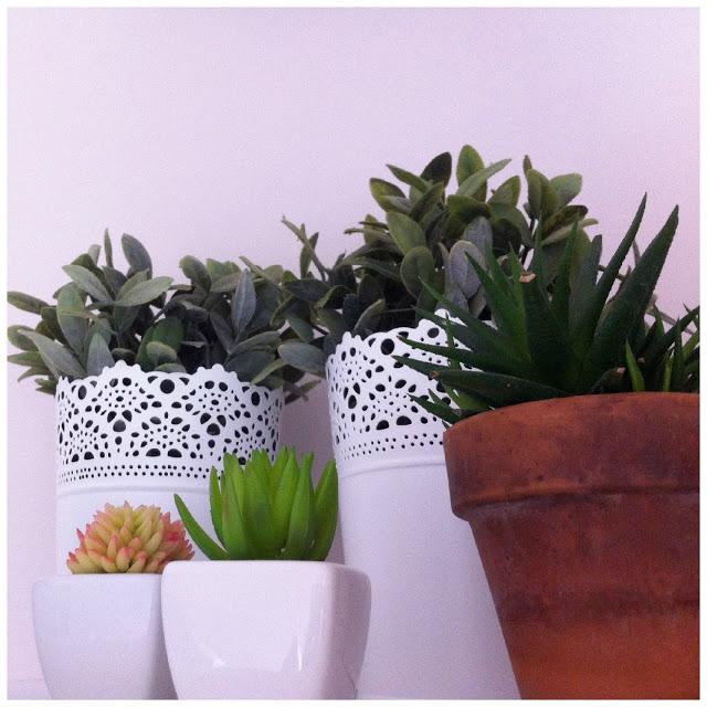 Aire fresco - Fresh air