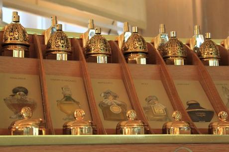 Perfumeria Benegas …