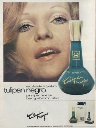 My experience with Tulipán Negro