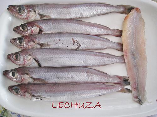 BACALAOS RELLENOS DE GRELOS  (13)