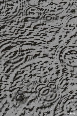 ¿Llueve mucho o es una paranoia mía?