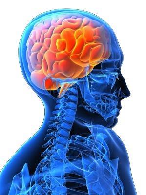 Cómo recuperar la concentración Cómo recuperar la concentración