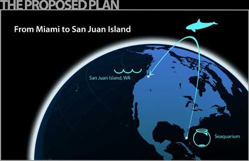 plan para el traslado de Lolita