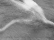 tierno peligroso rostro amor