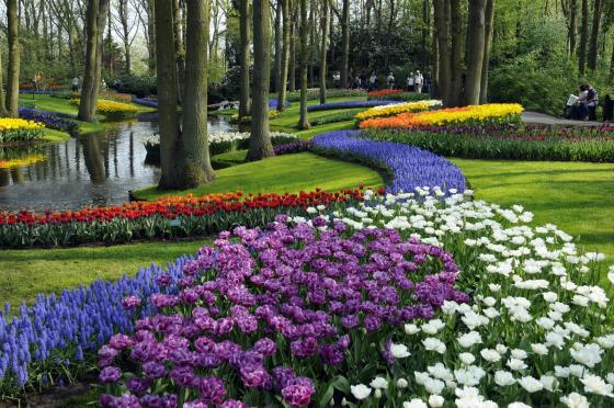 KEUKENHOF 16
