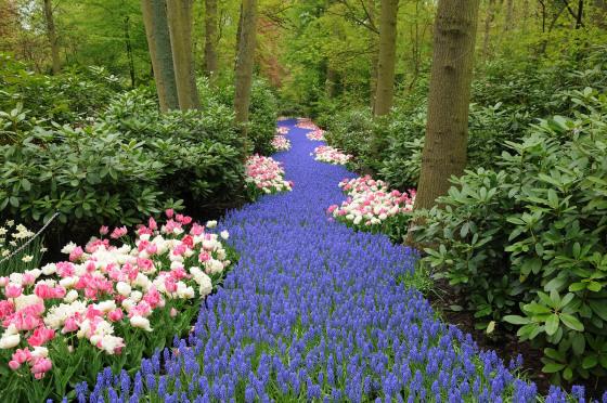 KEUKENHOF 13