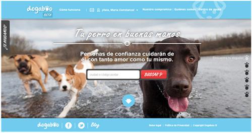 Dogaboo: tu perro en buenas manos.