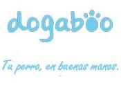 Dogaboo: perro buenas manos.