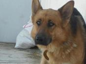 Encontrado pueblo Badajoz mañana matan... URGENTE!!