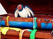 Exposición Artística través Ojos” Jockey Plaza