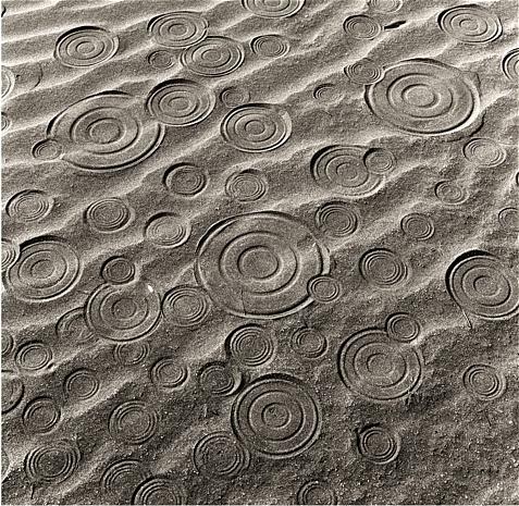 Una exposición imperdible - An unmissable exhibiton