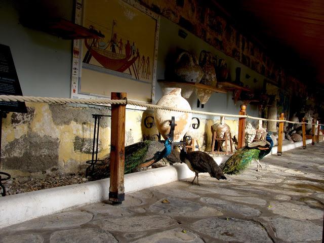 Turquía, castillo de San Pedro en Bodrum