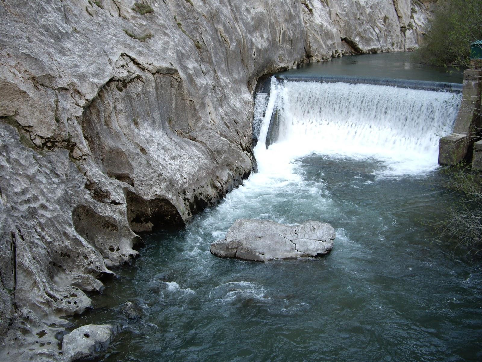 Pura natulaleza!!!!!