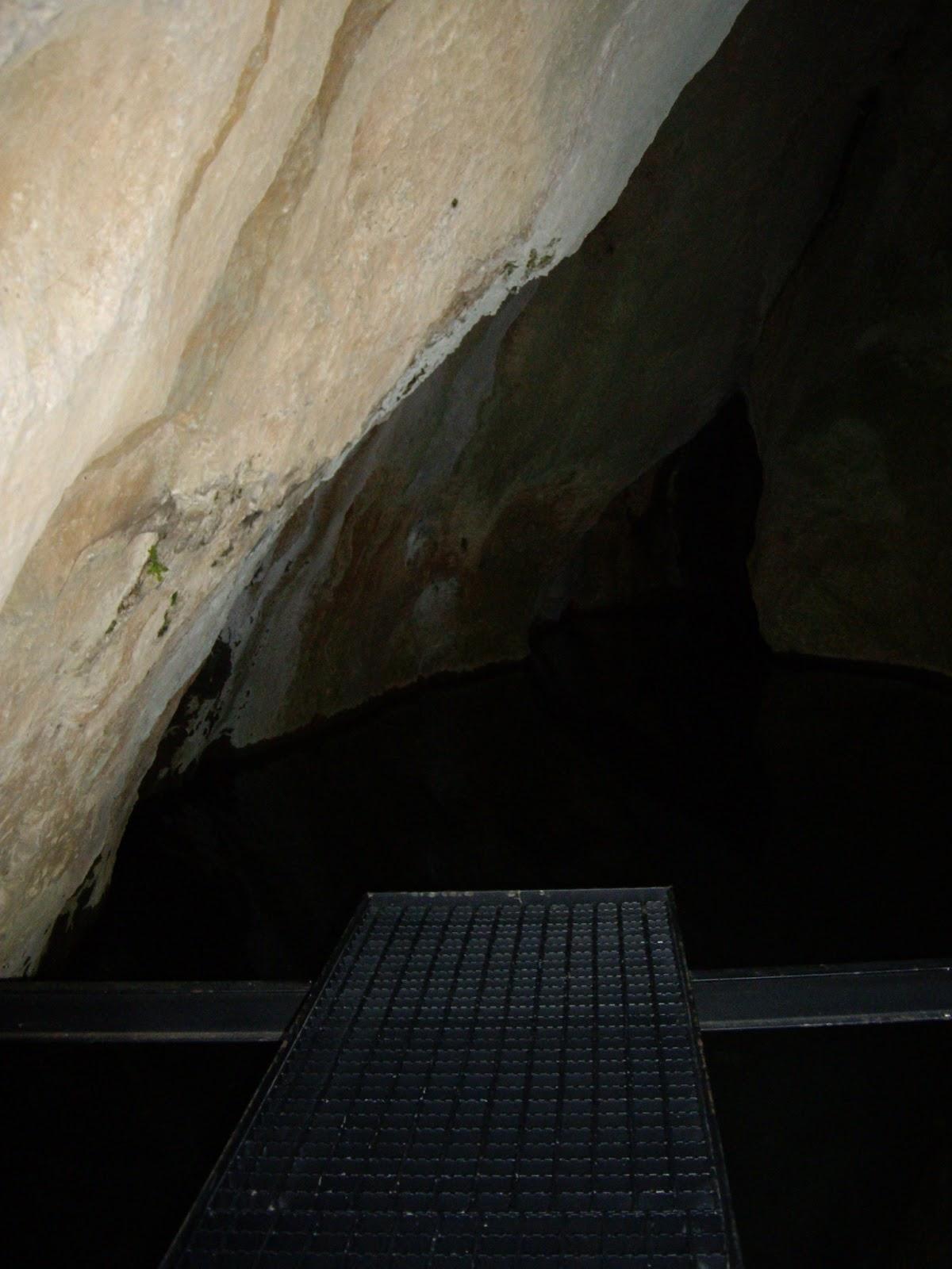 Pura natulaleza!!!!!