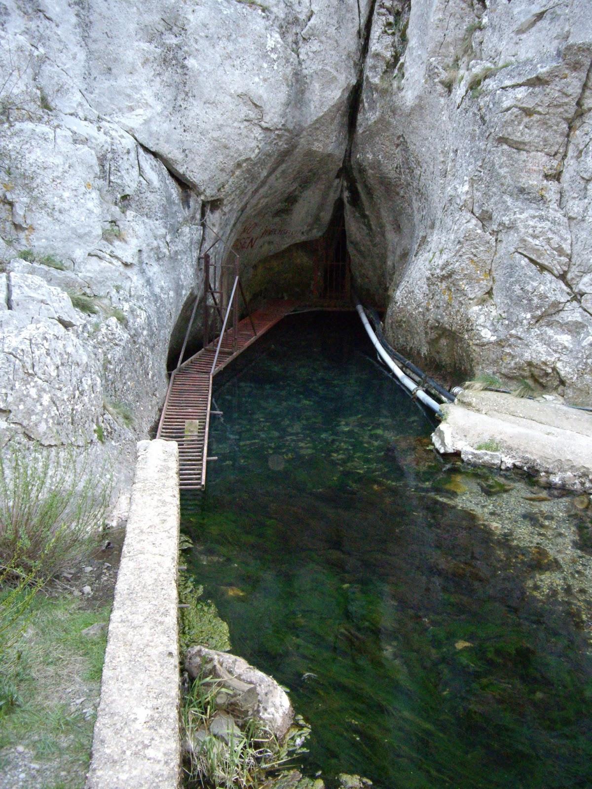 Pura natulaleza!!!!!