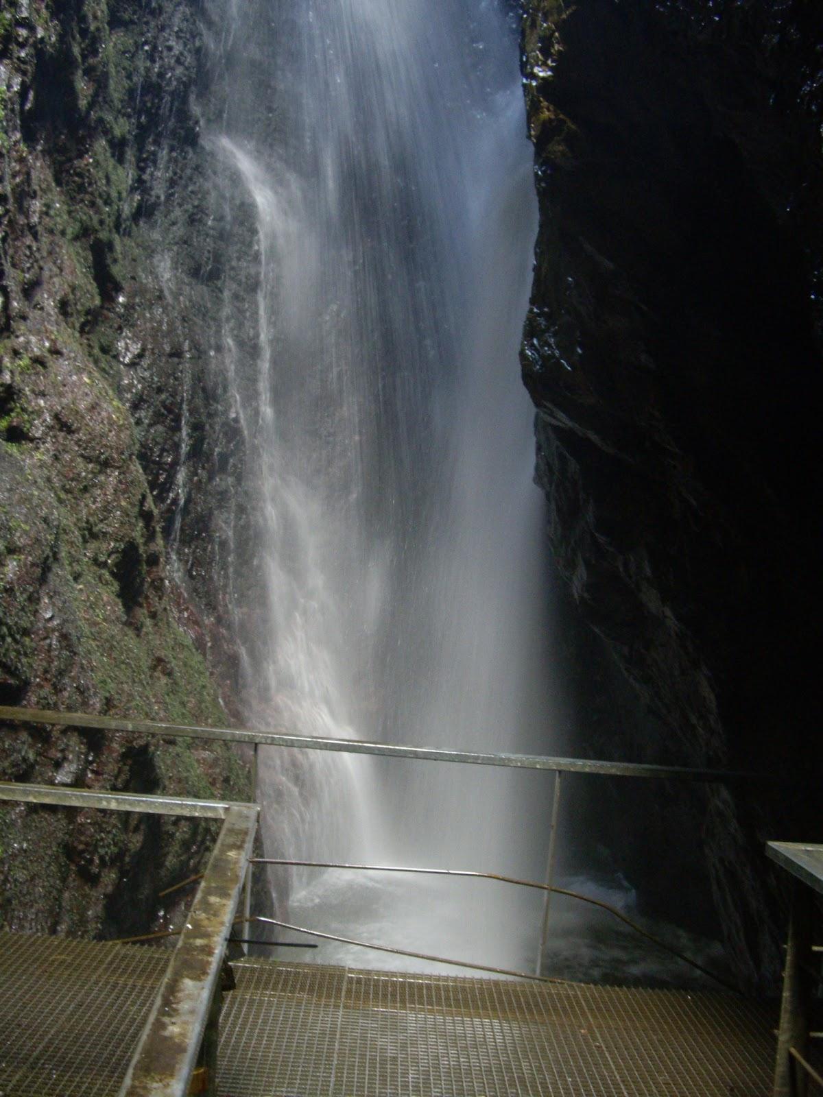 Pura natulaleza!!!!!