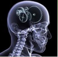 Terapia Ocupacional basada en la evidencia para la Rehabilitación del Daño Cerebral Adquirido #CENTO13 (VIII)