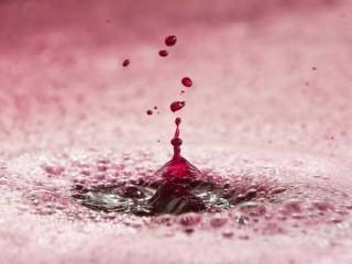 Suba en precios de vinos a granel